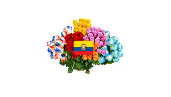 Ecuadorian Roses
