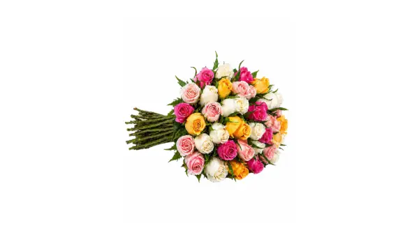 25 Rose Bundles