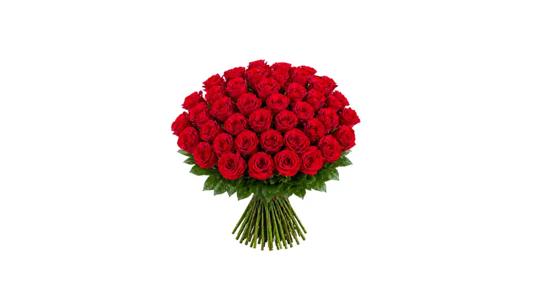 50 Red Rose Bouquet