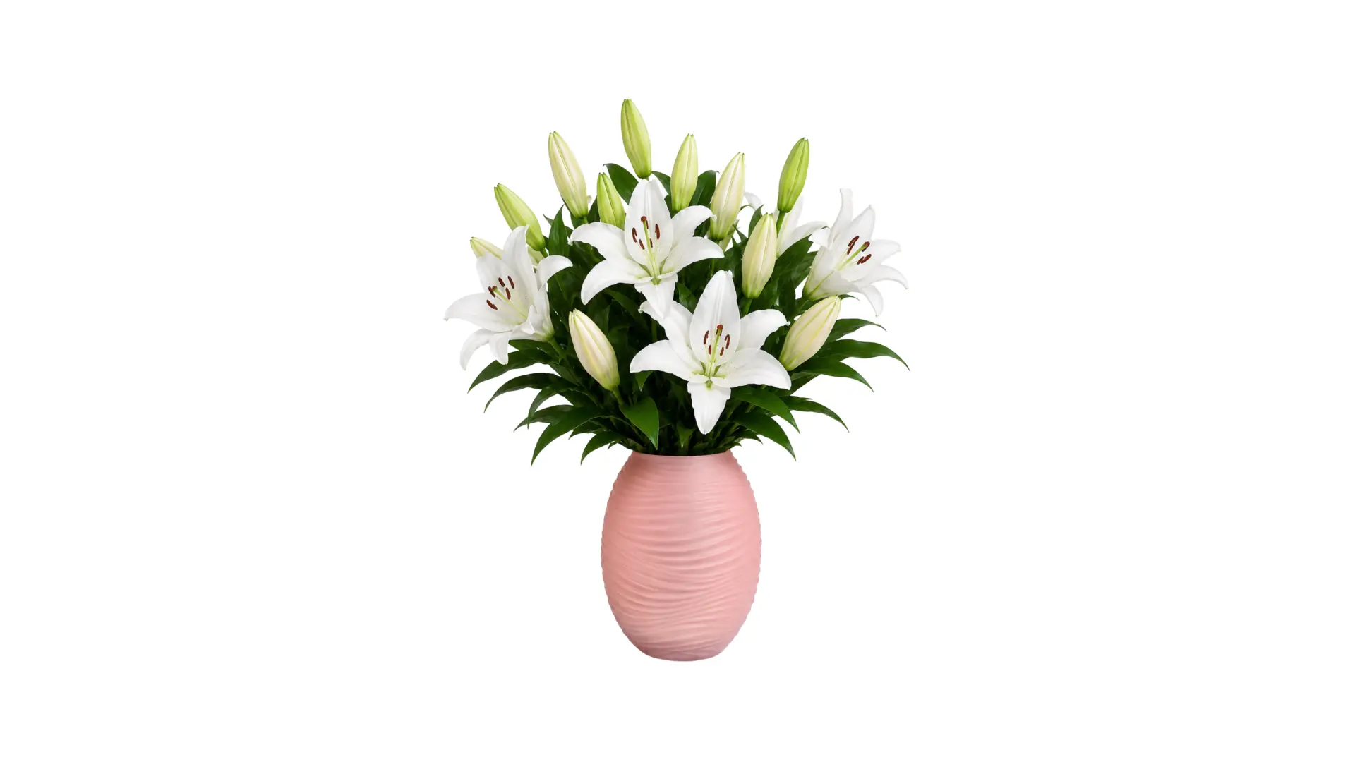 White Lily Vase Arrangement