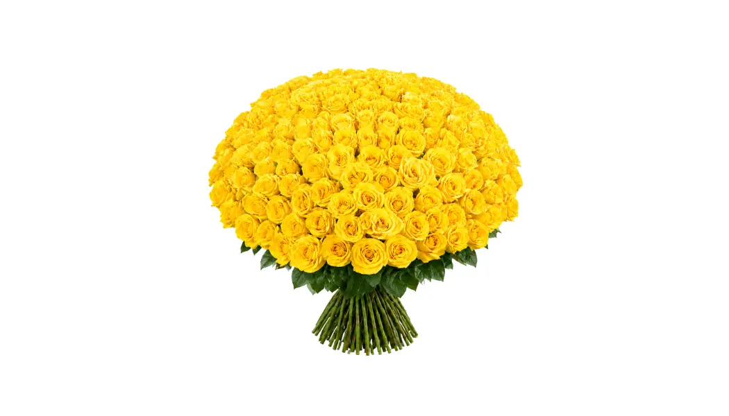 200 Yellow Rose Bouquet
